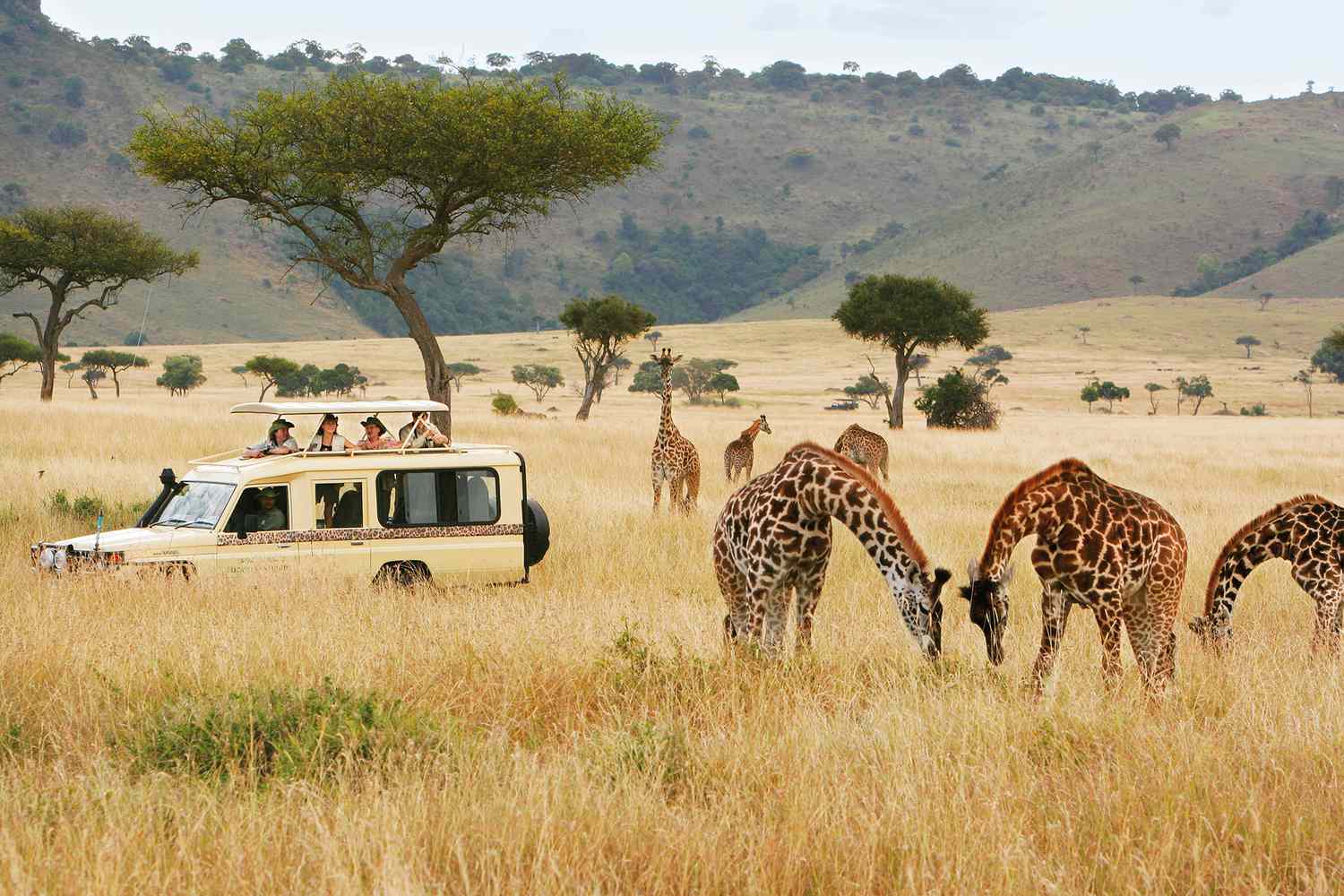 10 Days Kenya Uganda Safari- A Primates and Wildlife Holiday