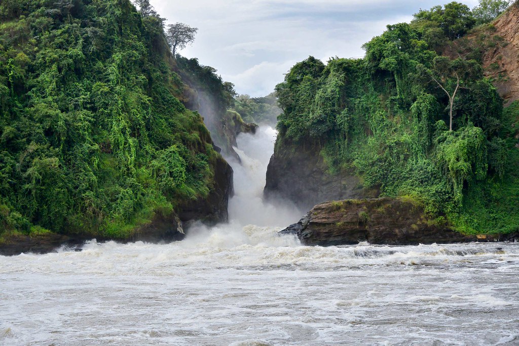 Murchison Falls National Park Boat Cruise